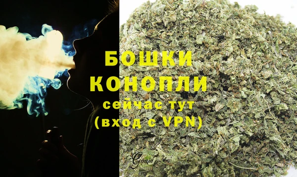 дурь Козельск