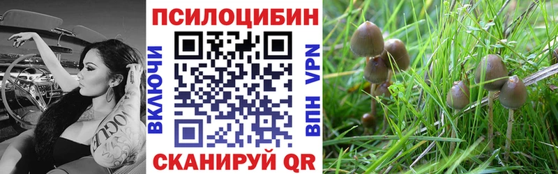 Галлюциногенные грибы мухоморы  Купить  Можга 